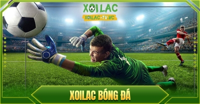 Xoilac-tvv.today: Thế giới bóng đá ngay trước mắt bạn!